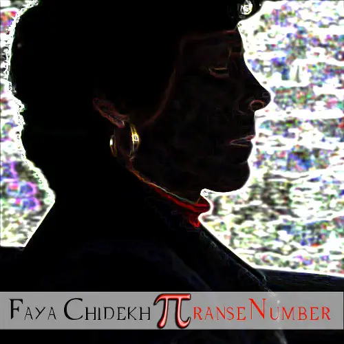 cover transenumber album