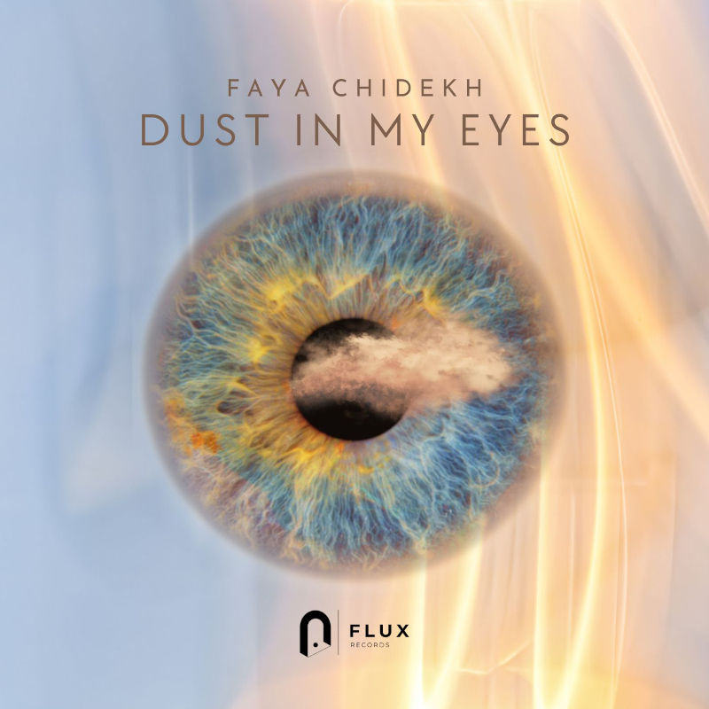 Cover Dust in my eyes flux